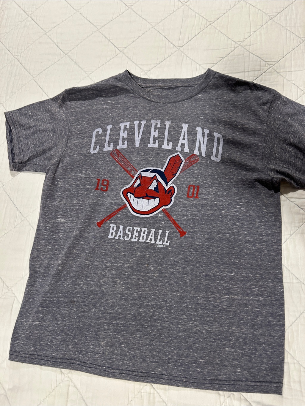 Stitches Gray Cleveland Baseball Tee With Red Graphic